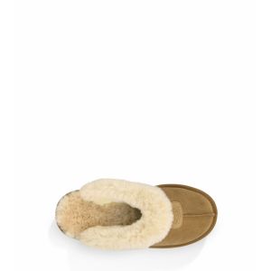Угги Coquette Slipper Chestnut