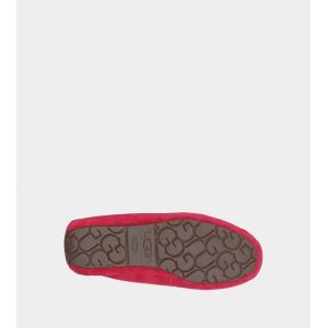 Ugg Women