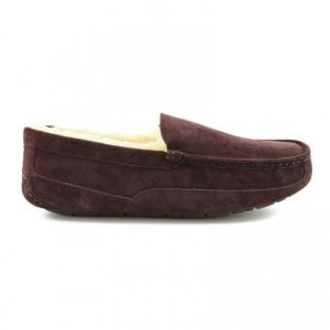 Ascot Men Chocolate