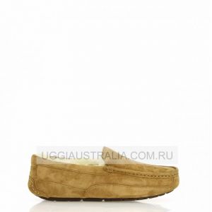 Ascot Chestnut