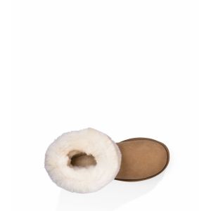 Ugg Classic Short II Chestnut