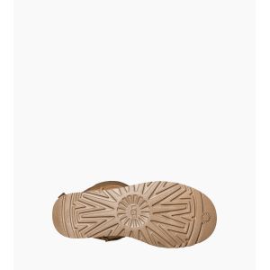 Bailey Bow Tall Chestnut