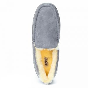 Ugg Ascot Grey