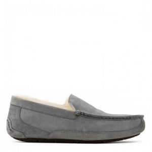 Ugg Ascot Grey