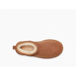 Ultra Mini Chestnut