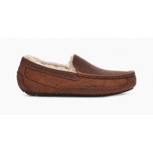 Ascot Gognac