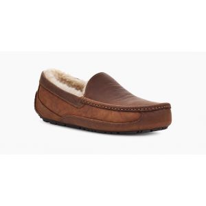 Ascot Gognac