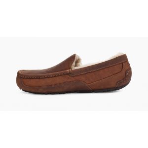 Ascot Gognac