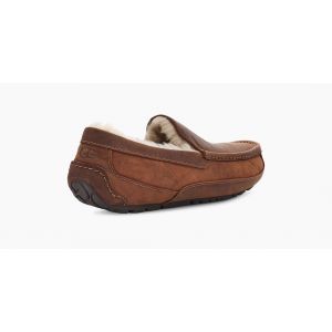 Ascot Gognac