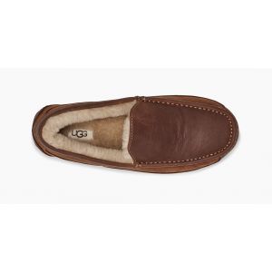 Ascot Gognac